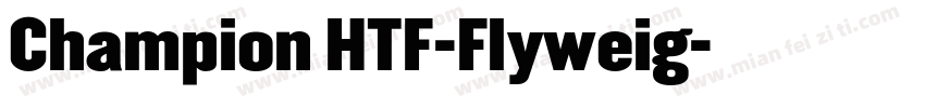 Champion HTF-Flyweig字体转换